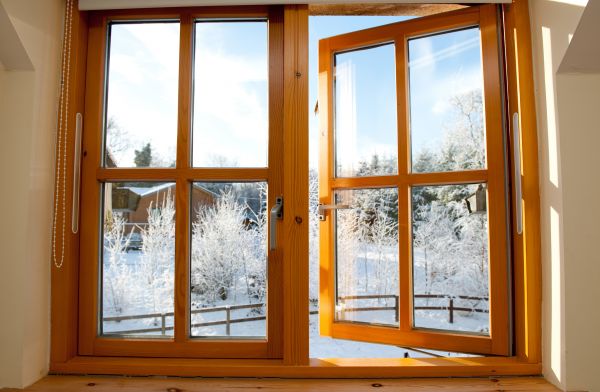 Double Window Replacement in Temple